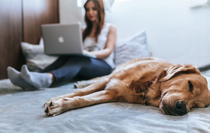 Covid-19 : Le télétravail, une solution de crise vouée à se généraliser ?